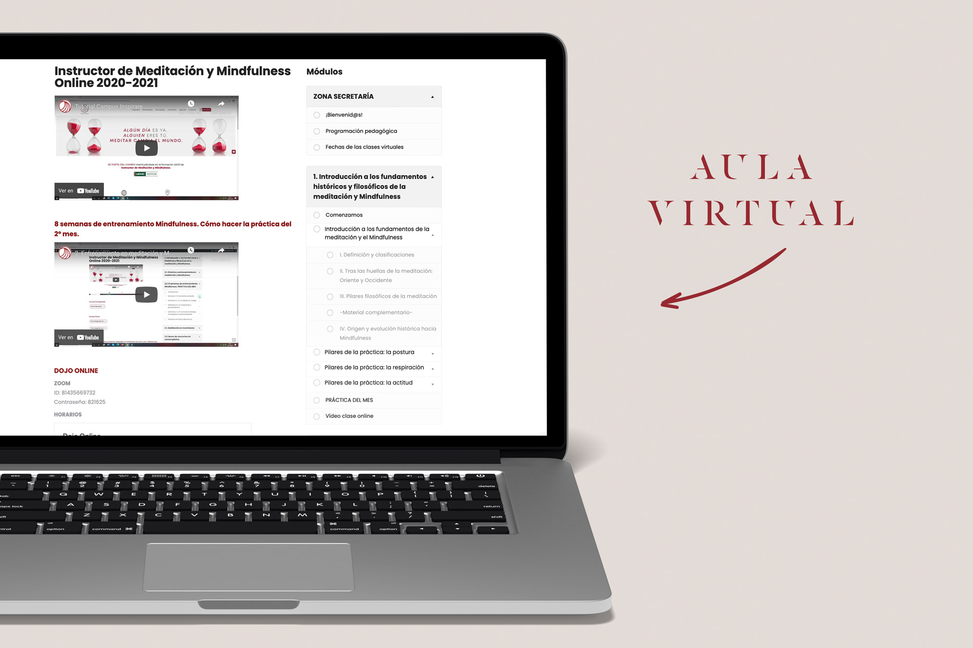Aula virtual Sensei